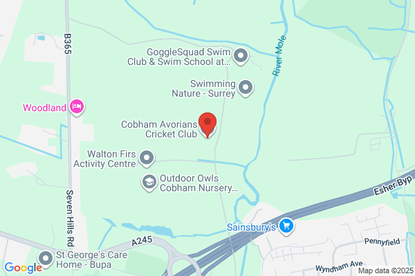 Cobham Cricket Club