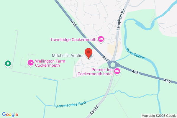 Mitchells Land Agency and Professional Services
