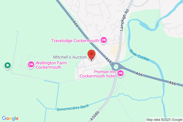 Mitchells Livestock Auctioneers and Valuers