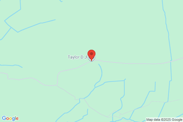 D J Taylor