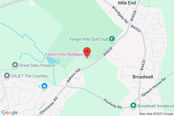 Forest Hills Ltd