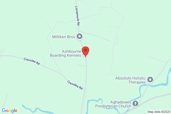 Ashbourne Boarding Kennels