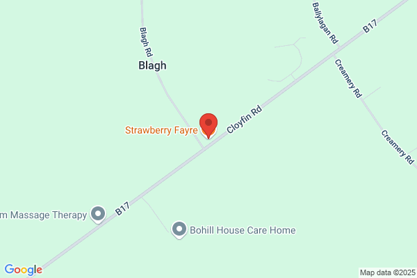 Strawberry Fayre