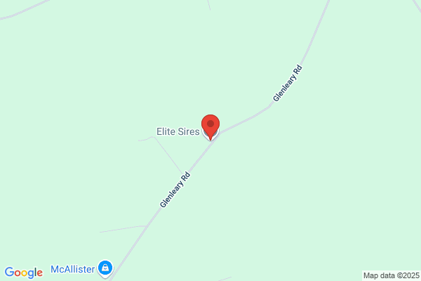 Elite Sires Ltd