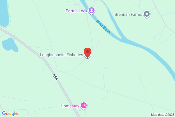 Loughinsholin Fisheries Ltd