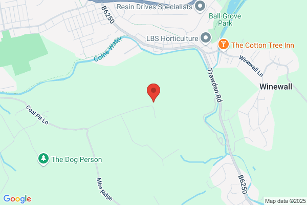 Carry Kennels & Cattery