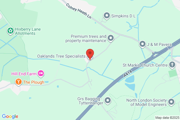 Ashwood Tree Specialist