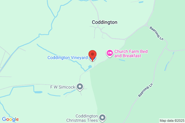 Coddington Vineyard