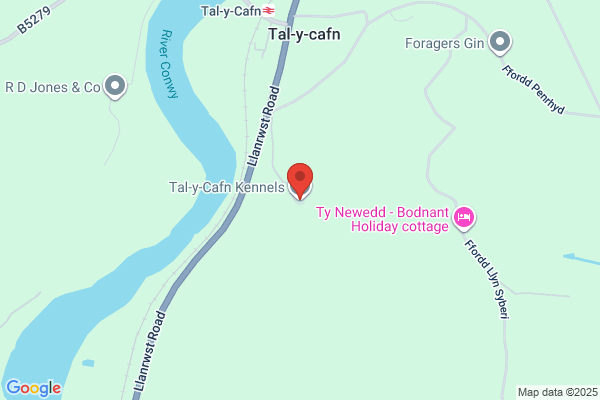 Tal-y-Cafn Boarding & Training Kennels