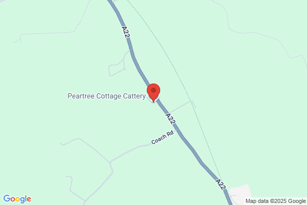 Peartree Cottage Cattery