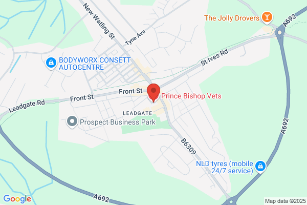 Prince Bishop Vets