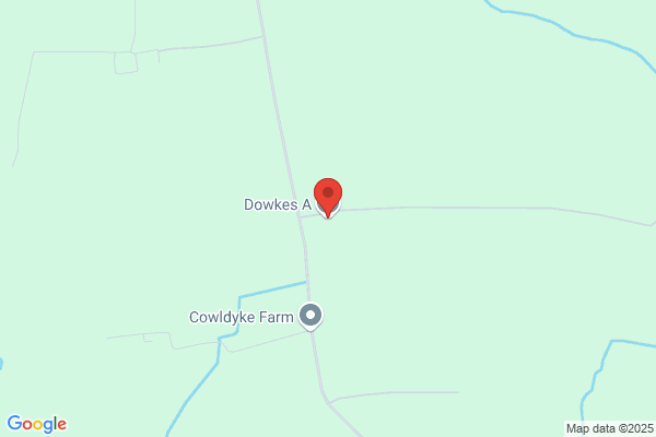 A Dowkes