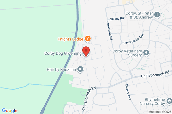 Corby Dog Grooming