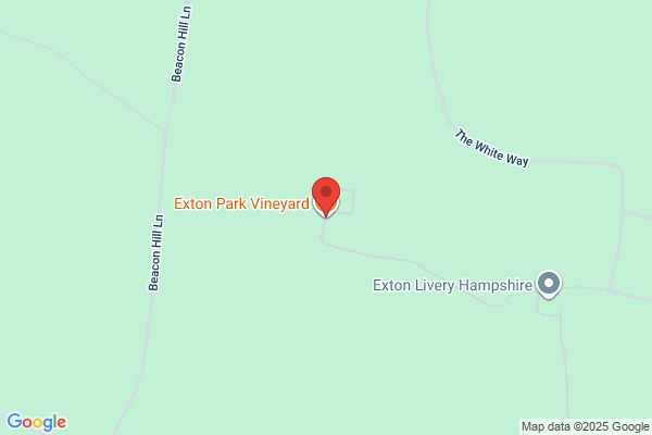 Meon Valley Vineyard