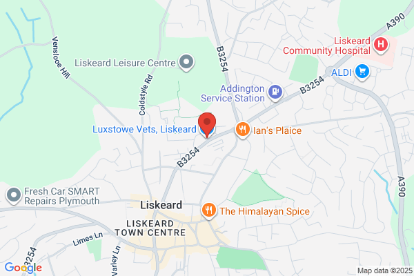 Luxstowe Vets, Liskeard