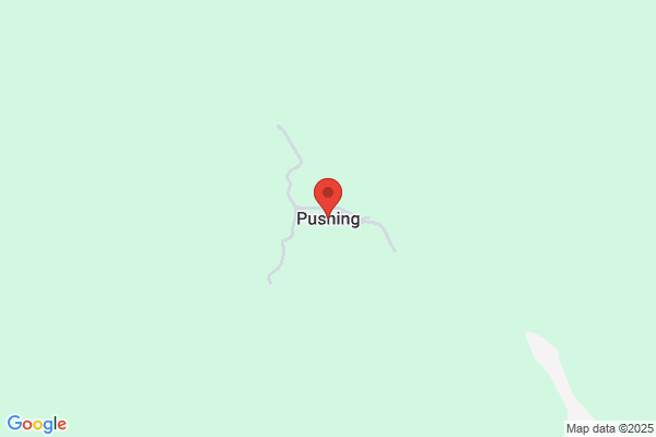 Pushbing