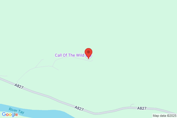 The Wild Game Co Ltd