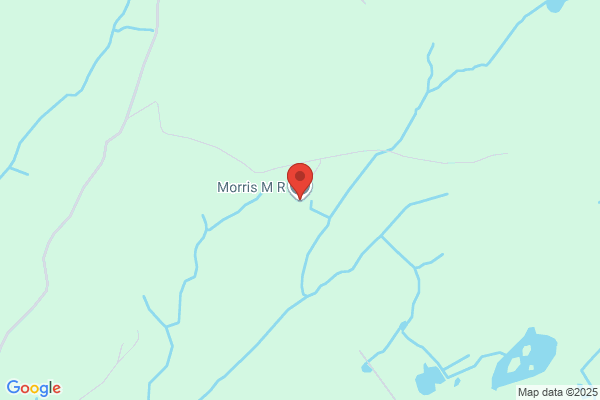M R Morris