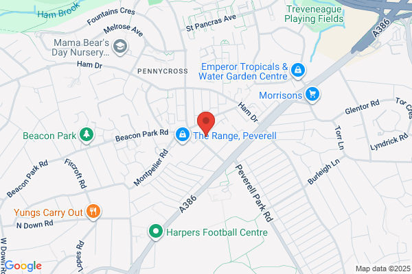 Bud Tree Surgeons