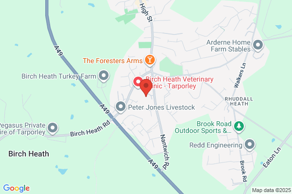 The Tarporley Gallery