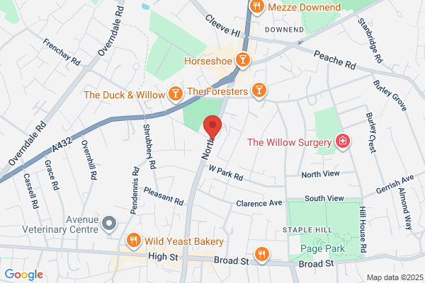 The White Swan