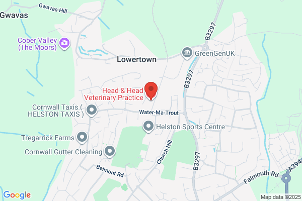 Head & Head Veterinary Practice Ltd
