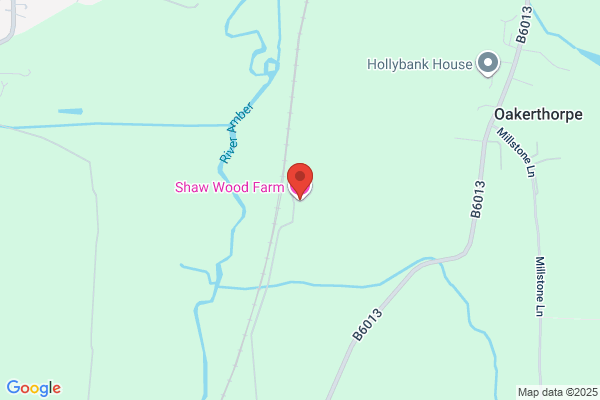 Harry Shaw