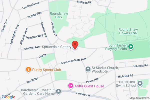 Southleigh Cattery