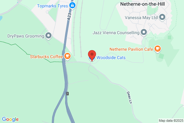 Woodside Cattery