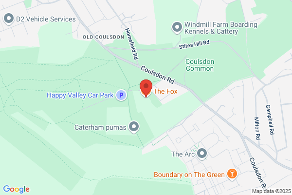 The Fox
