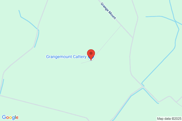 Rosemount Cattery