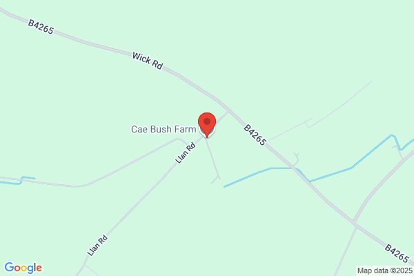 Cae Bush Farm