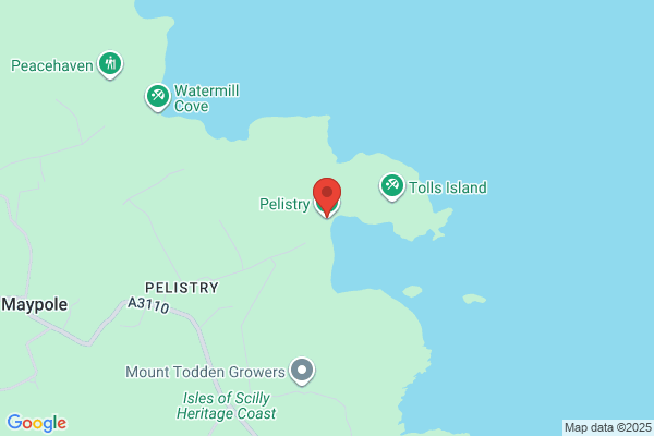 Pelistry Ltd