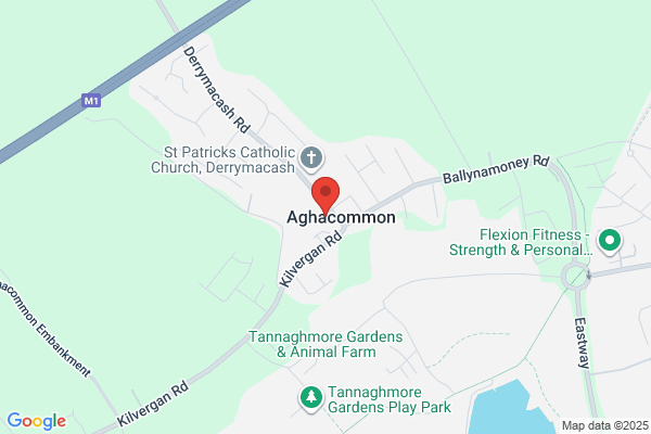 Hair Flair II