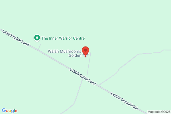 Walsh Mushrooms Ltd