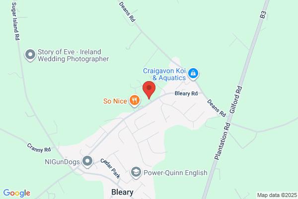 Bleary Service Station
