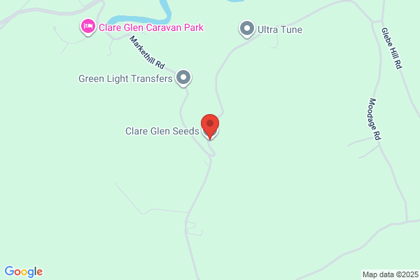 Clare Glen