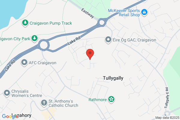 Craigavon Museum Project