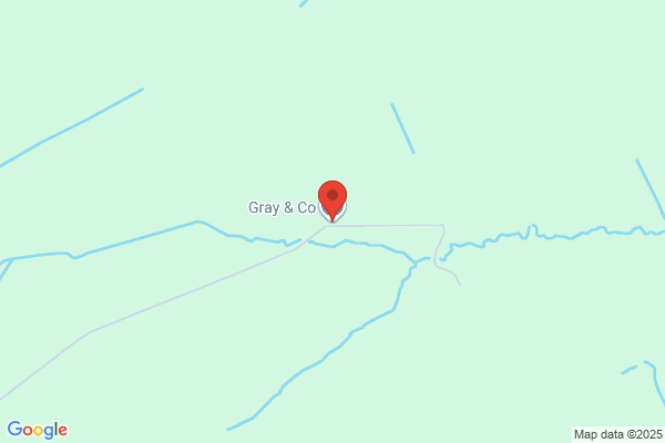 M Gray