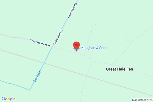 P Maughan & Sons