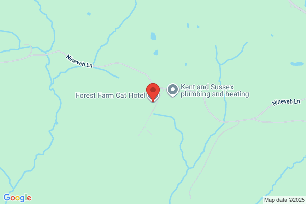 Forest Farm Cat Hotel