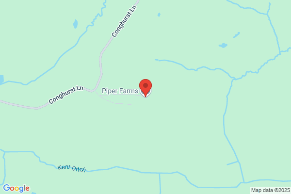 R D Piper