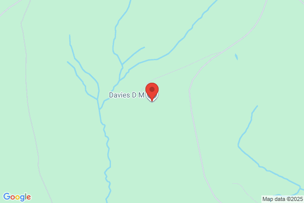 D M Davies