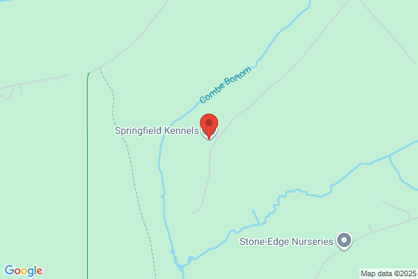 Springfield Boarding Kennels