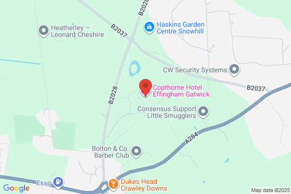 Copthorne Hotel Effingham Gatwick