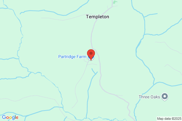 C E Partridge