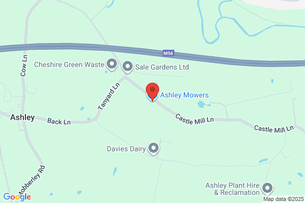 Ashley Mowers