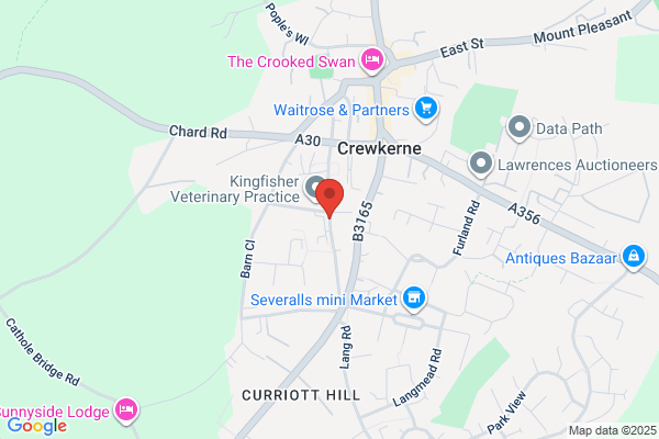 Dr R A Gilson