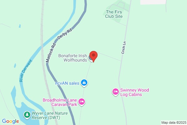 Broadholme Lane Farm Nursery