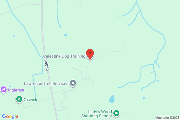 Celestine Dog Training